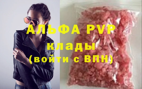 прущие грибы Анива