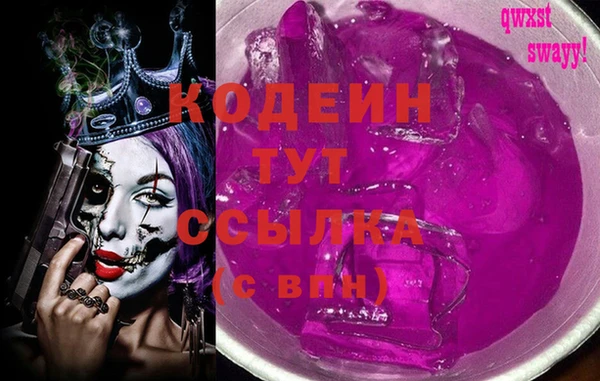 прущие грибы Анива