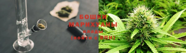 прущие грибы Анива