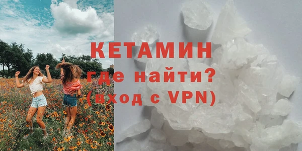 прущие грибы Анива