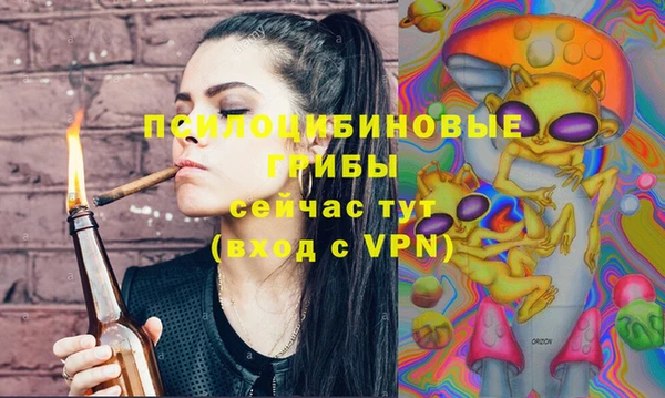 2c-b Анжеро-Судженск
