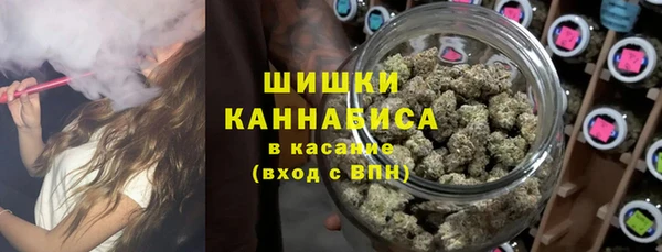 прущие грибы Анива