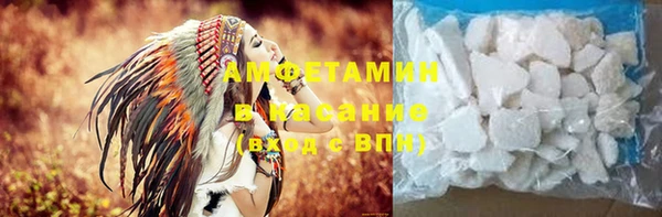 прущие грибы Анива