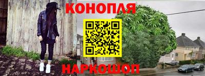 стафф Гай