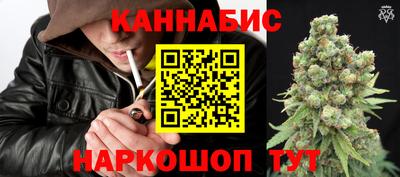 прущие крисы Будённовск