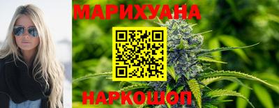 прущие крисы Будённовск