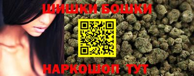 прущие крисы Будённовск