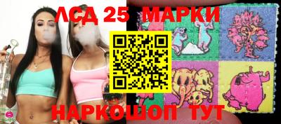 стафф Гай
