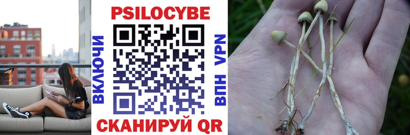 наркошоп  площадка состав  OMG зеркало  Псилоцибиновые грибы Psilocybine cubensis  Заречный 