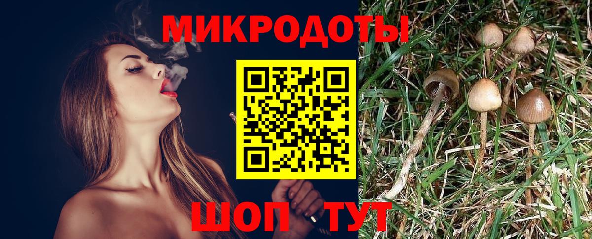 Псилоцибиновые грибы Magic Shrooms Заречный
