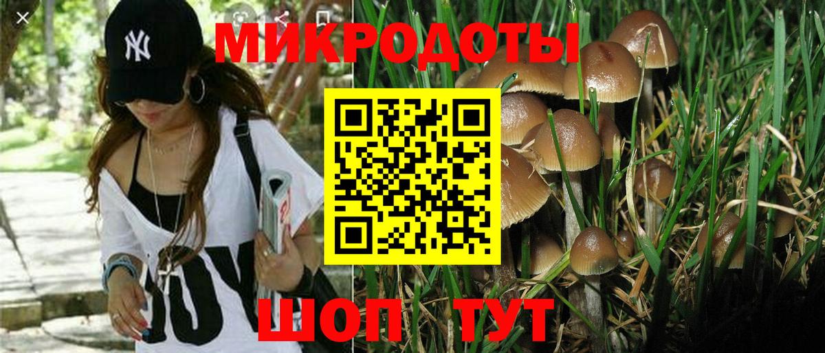 Заречный  Псилоцибиновые грибы MAGIC MUSHROOMS  Вход с VPN 
