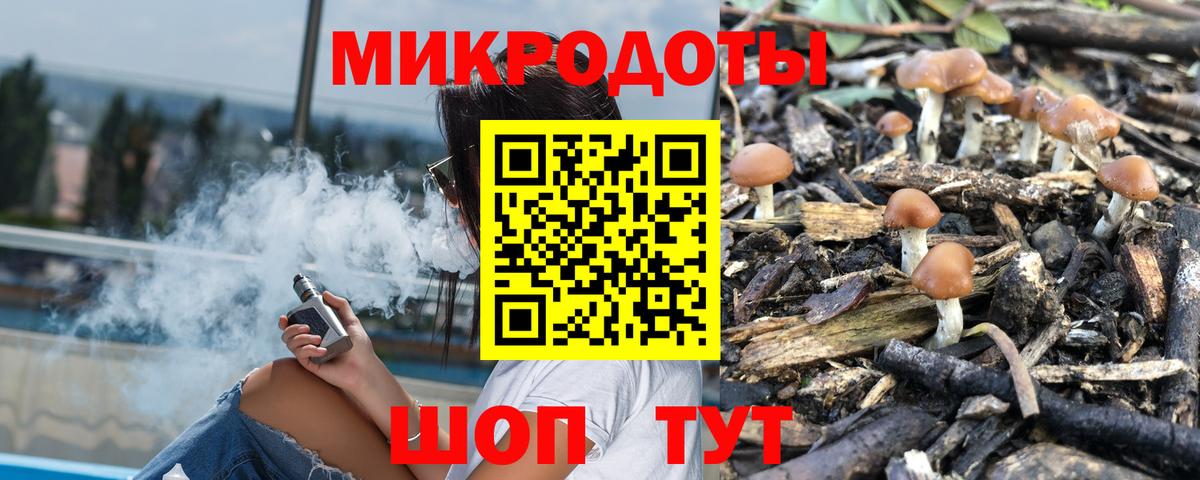 цена наркотик  Заречный  Галлюциногенные грибы мухоморы 