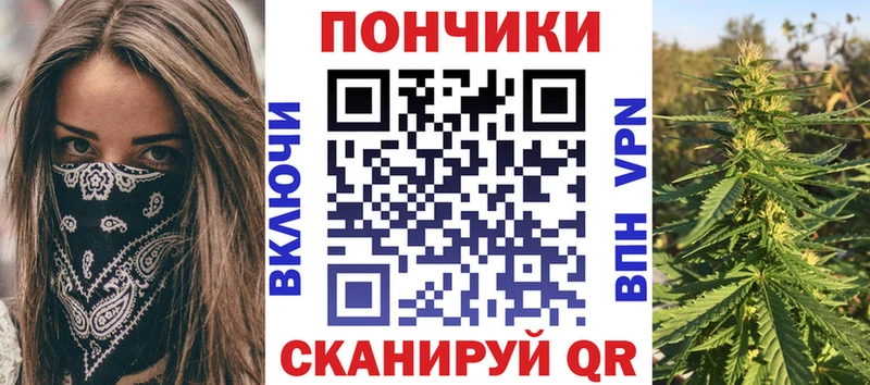 Бошки марихуана Amnesia  сколько стоит  Заречный 